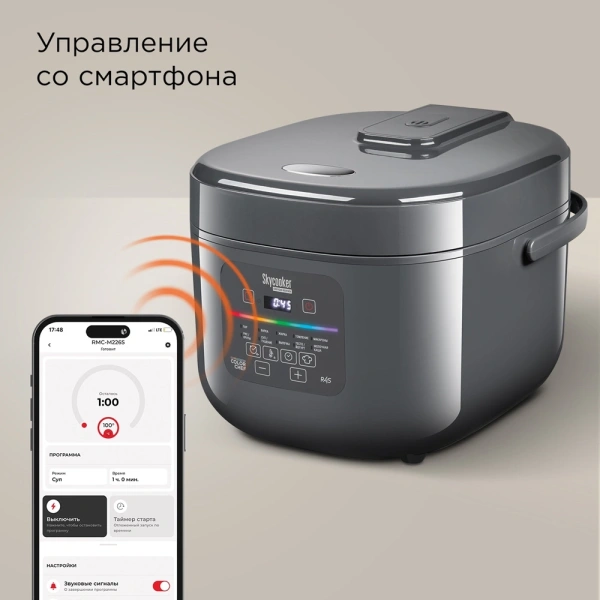 Мультиварка Redmond MC100S 5л 860Вт серый