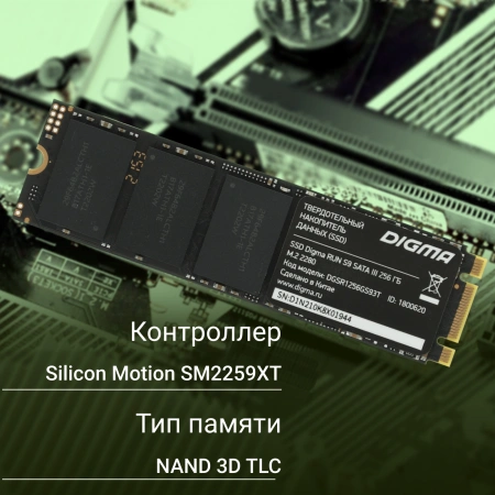 Накопитель SSD Digma SATA III 256Gb DGSR1256GS93T Run S9 M.2 2280