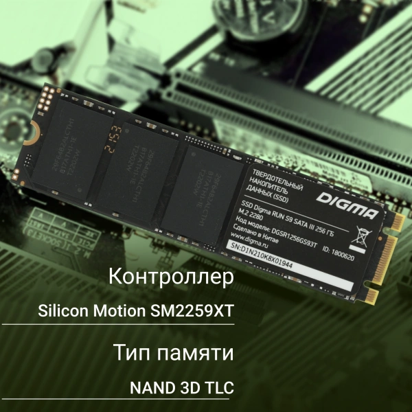 Накопитель SSD Digma SATA III 256Gb DGSR1256GS93T Run S9 M.2 2280