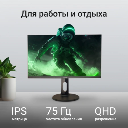 Монитор Digma 27" Progress 27P505Q IPS QHD чер 5ms HDMI DP M/M HAS 75Hz 350cd In