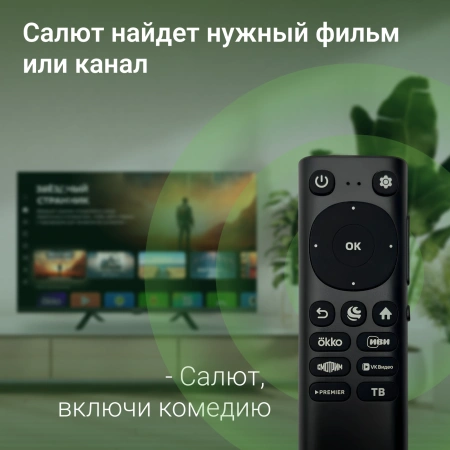 Телевизор LED Digma 32" DM-LED32SBB36 Smart Салют ТВ Frameless черный/FULL HD/DVB-T/60Hz/DVB-T2/DVB-