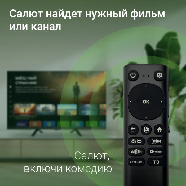 Телевизор LED Digma 32" DM-LED32SBB36 Smart Салют ТВ Frameless черный/FULL HD/DVB-T/60Hz/DVB-T2/DVB-