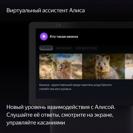 Умная колонка Yandex Станция Дуо Макс Zigbee голос.п.:Алиса черный 60W 1.0 BT/Wi-Fi 10м (YNDX-00055B