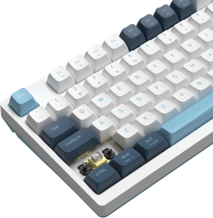 Клавиатура A4Tech Fstyler FS300 механическая белый/синий USB for gamer LED (FS300 PANDA SNOWBOARDING