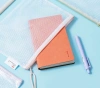 Папка на молнии ZIP Deli Colorful EF281 A5 ПВХ 0.23мм ассорти цвет молнии ассорти