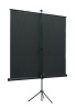 Экран на треноге Lumien 200x200см Eco View LEV-100103 1:1 напольный рулонный