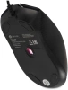 Мышь Оклик 702G черный оптическая 3600dpi USB для ноутбука 4but (1902907)