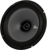 Колонки автомобильные ACV DRALL DR8 (без решетки) 300Вт 96дБ 3Ом 20см (8дюйм) (ком.:2кол.) широкополосные однополосные