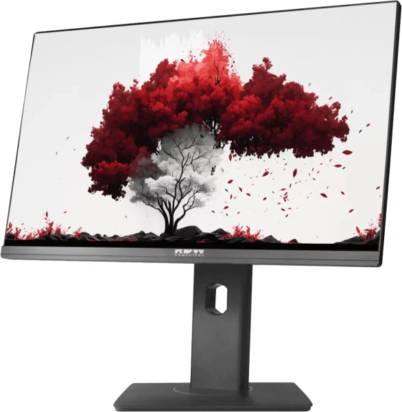 Монитор RDW Computers 23.8" RDW2402K/F00B3 черный IPS 6ms 16:9 HDMI M/M Cam матовая HAS Piv 250cd 178гр/178гр 1920x1080 75Hz VGA DP FHD USB (RUS)