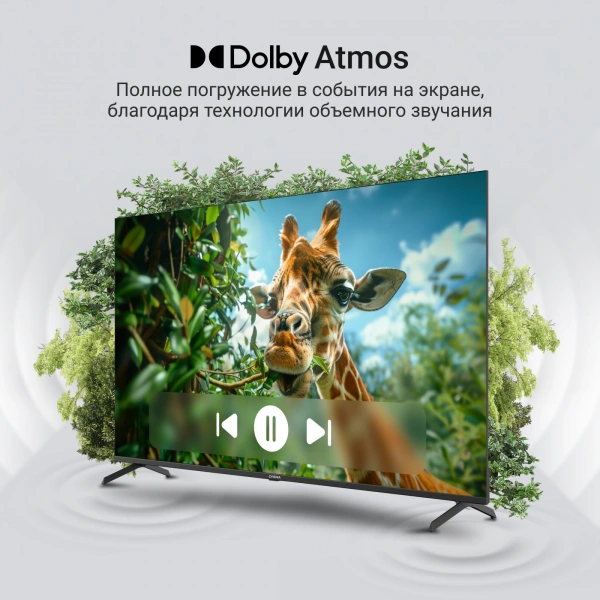 Телевизор QLED Digma 65" DM-LED65UQB31 Google TV Frameless Metal черный/черный 4K Ultra HD 60Hz MEMC DVB-T DVB-T2 DVB-C DVB-S DVB-S2 USB WiFi Smart TV