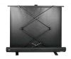 Экран Cactus 113x200см FloorExpert CS-PSFLE-200X113 16:9 напольный рулонный