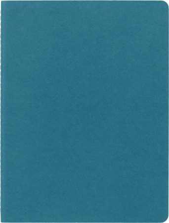 Блокнот Moleskine CAHIER JOURNAL CH023B44 XLarge 190х250мм обложка картон 120стр. нелинованный голубой (3шт)