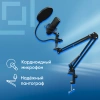 Микрофон проводной Оклик SM-700G 2.5м черный