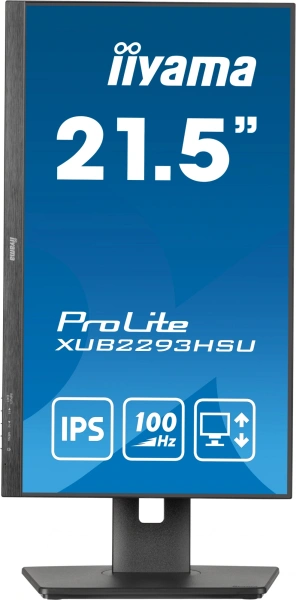 Монитор Iiyama 21.5" ProLite XUB2293HSU-B6 черный IPS LED 1ms 16:9 HDMI M/M матовая HAS Piv 1000:1 250cd 178гр/178гр 1920x1080 100Hz DP FHD USB 3.9кг