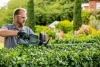 Кусторез Bosch UniversalHedgeCut 50 (06008C0500)