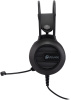 Наушники с микрофоном Оклик HS-L300G Black черный 2.2м мониторные USB оголовье (1796949)