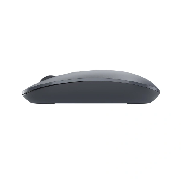 Мышь A4Tech Fstyler FG20 пепельный/синий оптическая (2000dpi) беспроводная USB для ноутбука (4but)