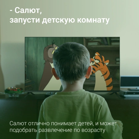 Телевизор LED Digma 43" DM-LED43SBB36 Smart Салют ТВ Frameless черный/FULL HD/DVB-T/60Hz/DVB-T2/DVB-