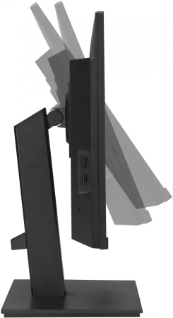 Монитор Asus 23.8" VA24ECPSN IPS FHD чер HDMI DP USB M/M HAS Piv 75Hz 300cd In