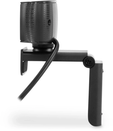 Камера Web Оклик OK-C016HD черный 1Mpix (1280x720) USB2.0 с микрофоном