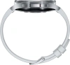 Смарт-часы Samsung Galaxy Watch 6 Classic 47мм 1.5" AMOLED корп.сереб. рем.серебристый (SM-R960NZSAC