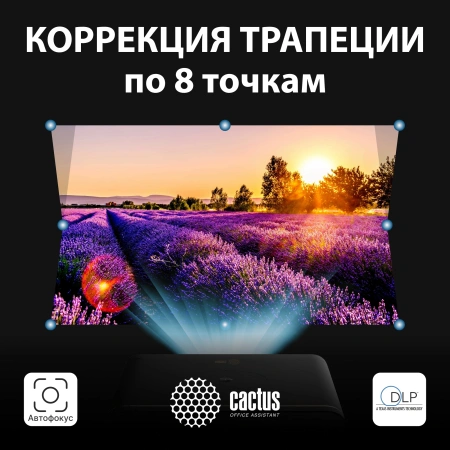 Проектор Cactus CS-H3.SG DLP 10500Lm LS 1050Lm ANSI (1920x1080) 200000:1 ресурс лампы:20000часов 1xUSB typeA 1xHDMI 3.1кг