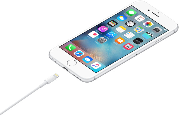 Кабель Apple A1480 MXLY2FE/A USB (m)-Lightning (m) 1м белый