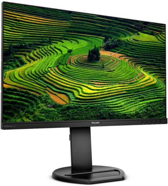 Монитор Philips 23.8" 241B8QJEB (00/01) черный IPS LED 5ms 16:9 DVI HDMI M/M матовая HAS Piv 1000:1 250cd 178гр/178гр 1920x1080 75Hz VGA DP FHD USB 4.97кг