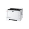 Принтер лазерный Kyocera Ecosys P2040DN (1102RX3NL0) A4 Duplex Net черный