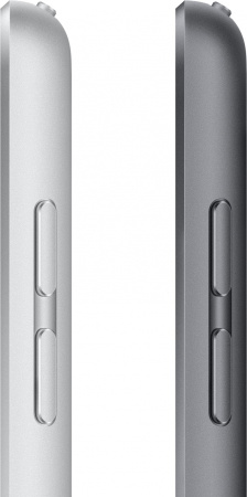 Планшет Apple iPad 2021 A2602 A13 Bionic 6С RAM3Gb ROM256Gb 10.2" IPS 2160x1620 iOS серый космос 8Mpix 12Mpix BT WiFi 10hr
