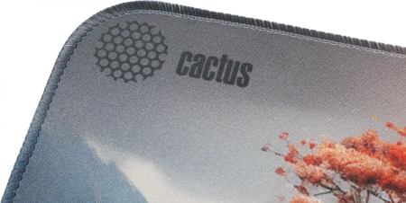 Коврик для мыши Cactus Lake рисунок 400x300x3мм (CS-MP-PRO18XL)