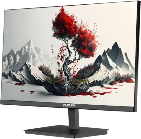 Монитор RDW Computers 23.8" RDW2401K черный IPS 5ms 16:9 HDMI M/M матовая HAS Piv 1000:1 350cd 178гр/178гр 1920x1080 120Hz VGA DP FHD USB 4.185кг (RUS)