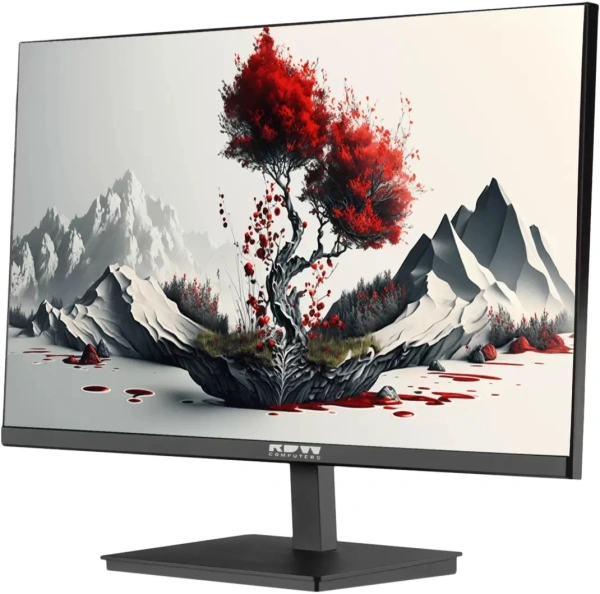 Монитор RDW Computers 23.8" RDW2401K черный IPS 5ms 16:9 HDMI M/M матовая HAS Piv 1000:1 350cd 178гр/178гр 1920x1080 120Hz VGA DP FHD USB 4.185кг (RUS)
