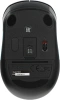 Мышь A4Tech Fstyler FG10 черный/синий оптическая (2000dpi) беспроводная USB (4but)